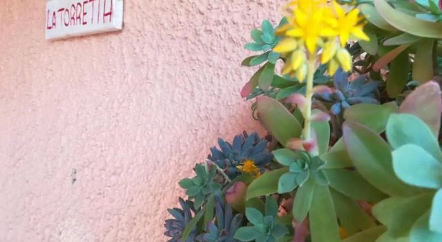 Апартаменты "IL CASALE DEI GIRASOLI" Country House in Capalbio