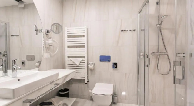 Студия Deluxe Hotel Astor