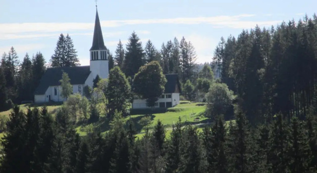 Апартаменты Haus Steininger
