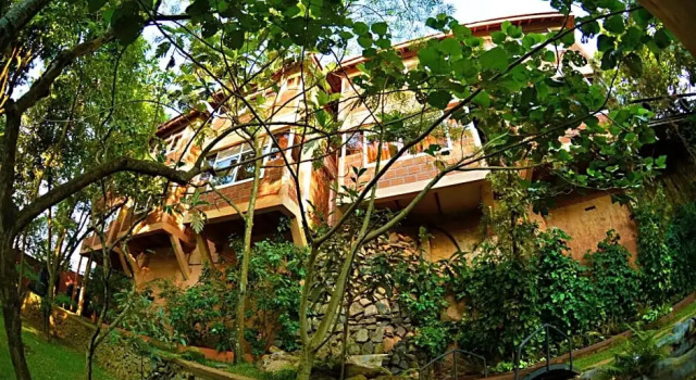 Habitación individual Estándar con vista Forest Cottages