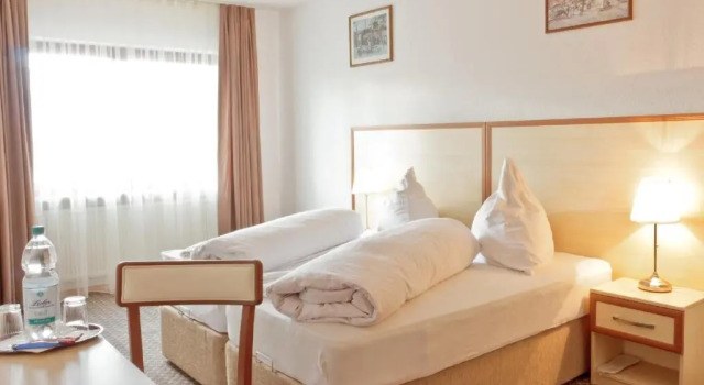 Двухместный номер Standard Hotel Ganita Weil am Rhein