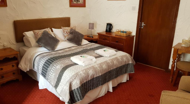 Номер Deluxe Black Dog Inn