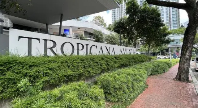 Tropicana Suite