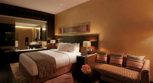 Двухместный номер Executive Hilton Jaipur