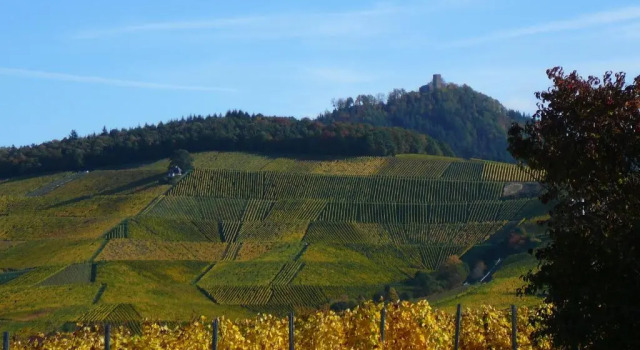 Winzerhof unter der Yburg, Reserva ahora Apartamento Hoteles en Baden-Wurtemberg con aparcamiento, Aparcamiento