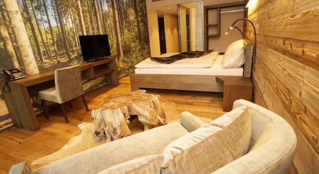 Номер Standard Riverside