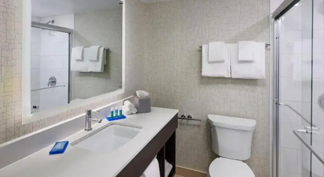Номер Standard с красивым видом из окна Holiday Inn Express Windsor Waterfront by IHG