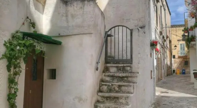 L' Edera