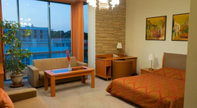 Двухместный номер Business Hotel Vaidila