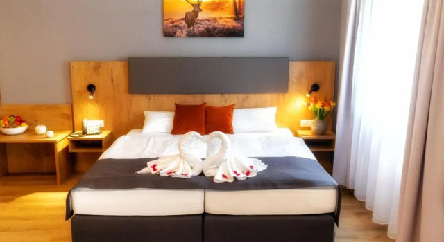 Двухместный номер Standard Hotel La Mirabelle close to Europa Park