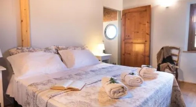 Alpaca Country House