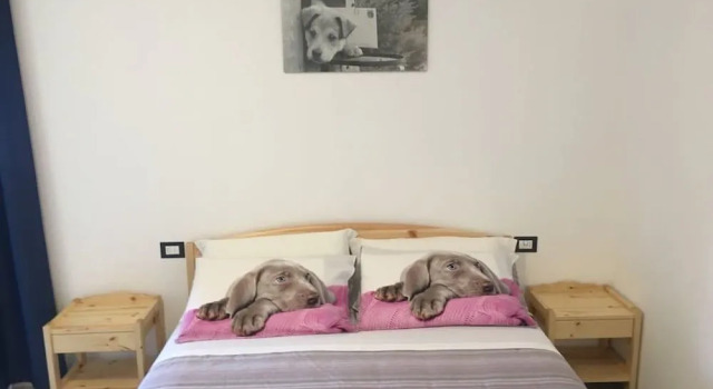Agriturismo da Ysy