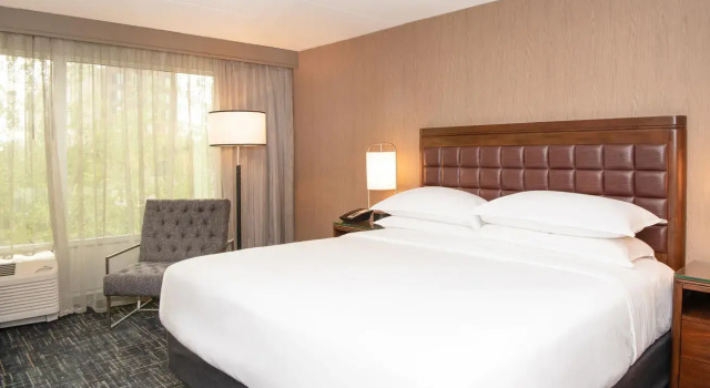 Двухместный номер Standard Sheraton Ann Arbor Hotel