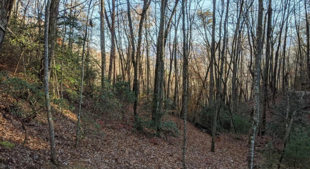 Deep Creek Hideaway 2 Bedroom Cabin by RedAwning, Забронировать Отель Брайсон-Сити Great Smoky Mountains National Park