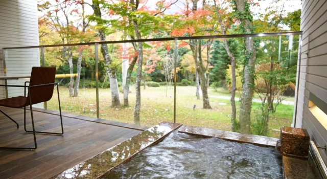 Двухместный номер Superior Hakone Highland Hotel