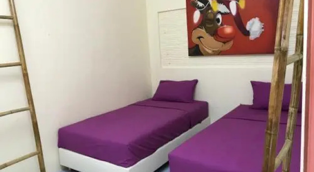 Happy Hippie Hostel