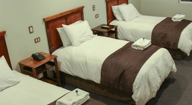 Hotel Unu