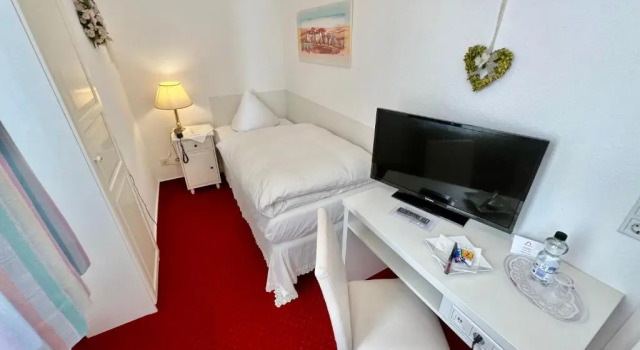 Одноместный номер Standard Hotel Alpha