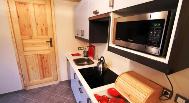 Appartement Villa Karola Stryi