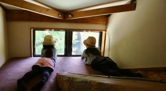 Семейный номер Standard Spa Lodge Redwood Inn