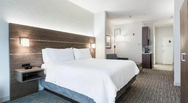 Люкс Holiday Inn Express and Suites Jasper