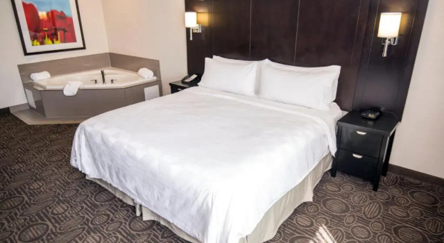 Люкс Holiday Inn & Suites Red Deer South