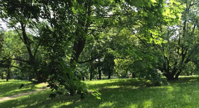 Студия Royal Garden Apartment