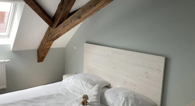 Habitación doble Económica BürgerhausLöwen