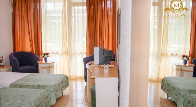Hotel Mures