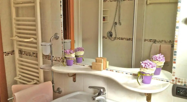 Двухместный номер Standard Hotel Monte Rosa