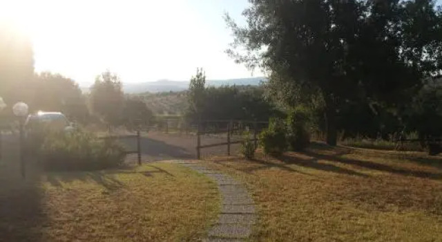 Agriturismo Podere Selvette, Buchen Sie Hotel Campagnatico Toskana