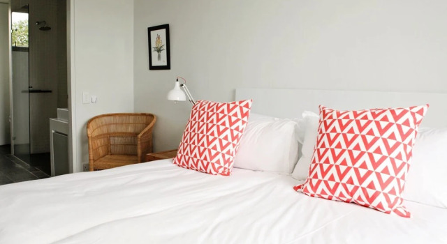 Dash Apartments