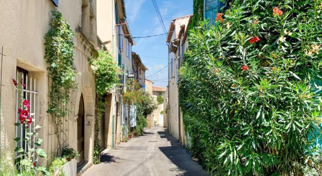Апартаменты Superior Appartement La Cigale, Maison Authentique Provence