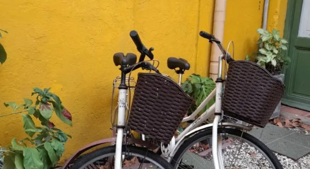 Toca Madera Hostel, Book Hostel Hostels in Colonia, Hostel
