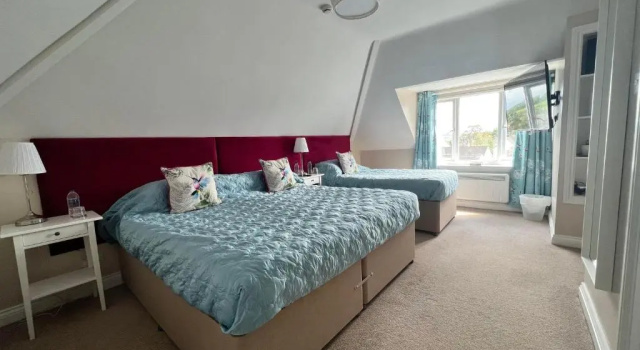 Номер Standard Swan Hotel