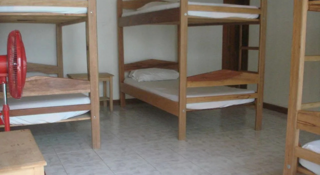 Hostal Hippilandia - Hostel, Book Hostel Hostels in Leticia, Hostel