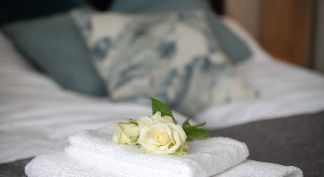 Camera Standard Hotell Regine