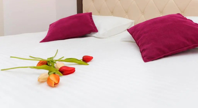 Номер Standard Aqua Breeze Apartments