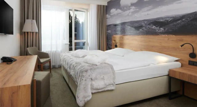 Двухместный номер Superior с балконом Wellness Hotel Svornost