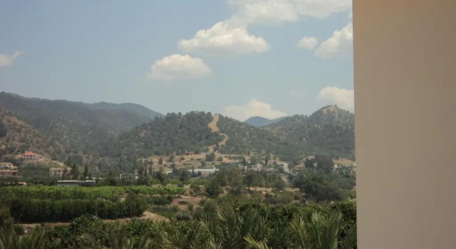 Вилла Citrus Grove Villa