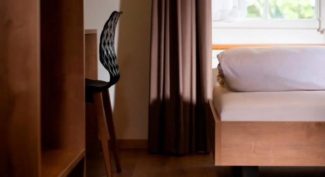 Одноместный номер Standard SEELANDHOTEL Weisses Kreuz