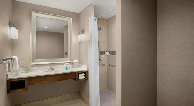 Двухместный номер Standard Hilton Garden Inn Lubbock