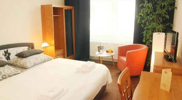 Номер Deluxe Saraya Wellness & Penzion