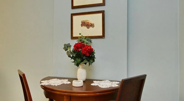 Студия Comfort Aloe Luxury Apartments