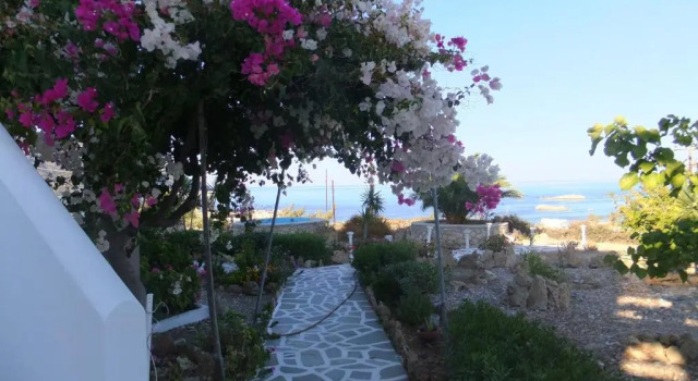 Студия Xenios Zeus Hotel