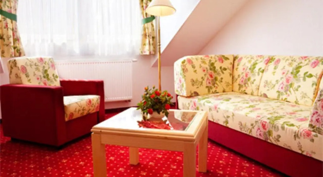 Полулюкс Elbhotel Bad Schandau