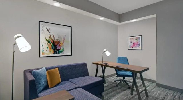 Двухместный полулюкс Hilton Garden Inn Houston Medical Center, TX