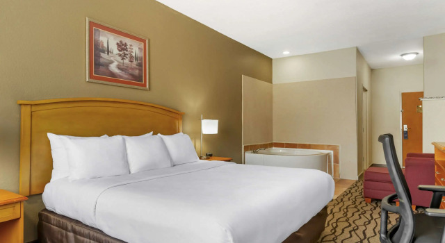 Двухместный Room Comfort Inn & Suites Chesapeake - Portsmouth