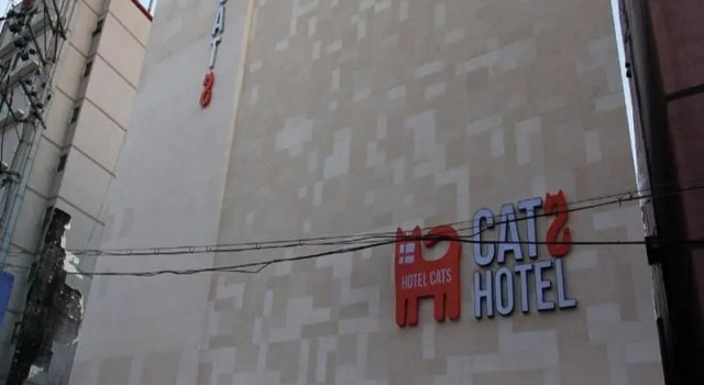 Hotel Cats Suwon, Reserva ahora Hotel Suwon Gyeonggi-do, cerca de Parque Seoho