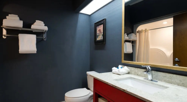 Номер Standard Wildwood Lodge & Suites
